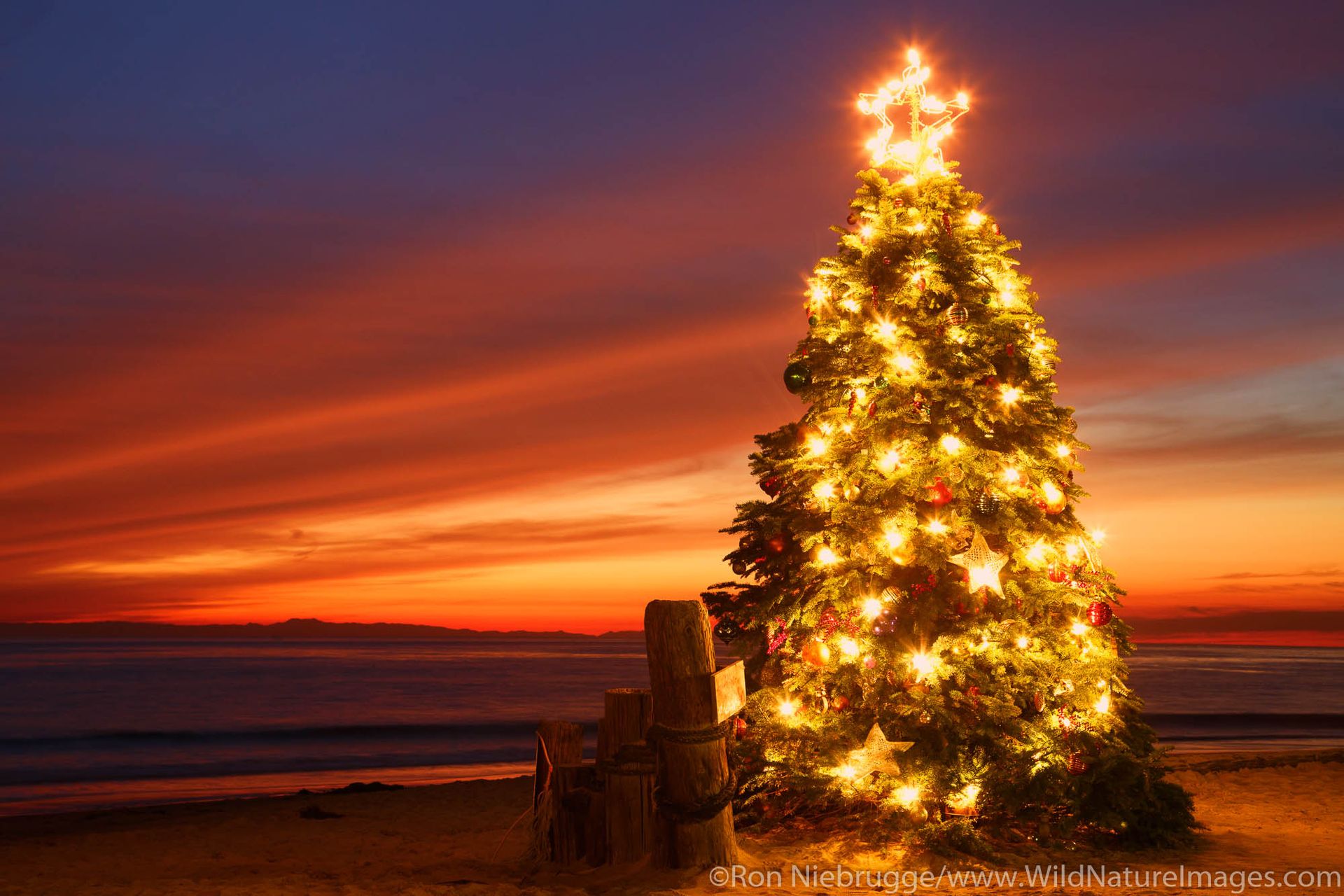 Island Christmas Day